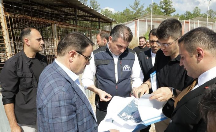 Kütahya Valisi Işın, "Sahipsiz hayvanlara yönelik hizmetler toplumsal duyarlılığın bir göstergesidir"