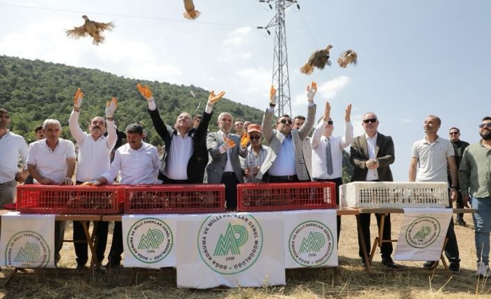 Kütahya’da 300 keklik doğaya salındı