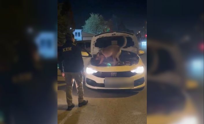 Kütahya’da 3,5 kilo kokain ele geçirildi, şüpheli 2 kişi tutuklandı