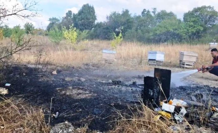Kütahya’da arazi yangınında 7 arı kovanı kül oldu