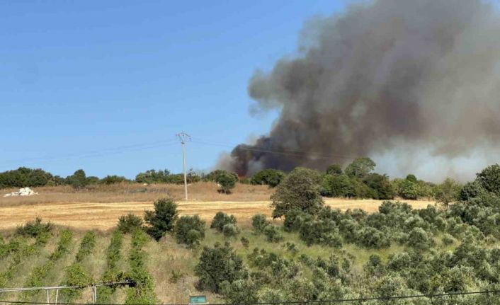 Lapseki’deki orman yangınını söndürme çalışmaları sürüyor