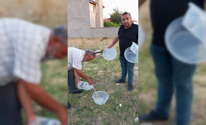 Mahalle muhtarından sokak hayvanlarına yönelik örnek çalışma