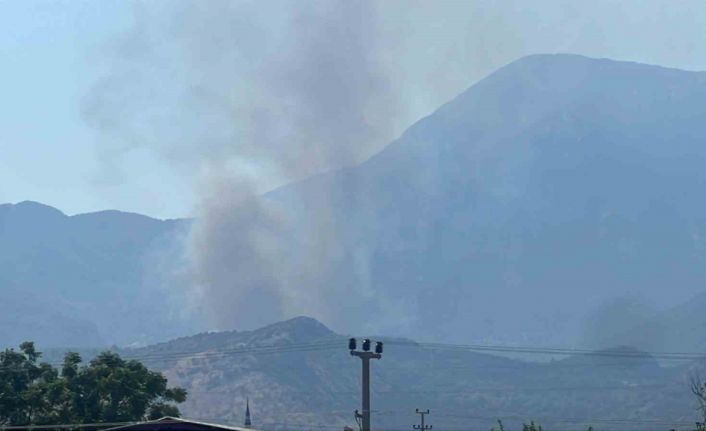 Makilik alanda çıkan yangın ormana sıçradı