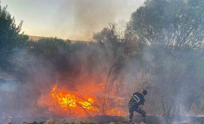 Malatya’da anız yangınında 50 dönümlük arazi zarar gördü
