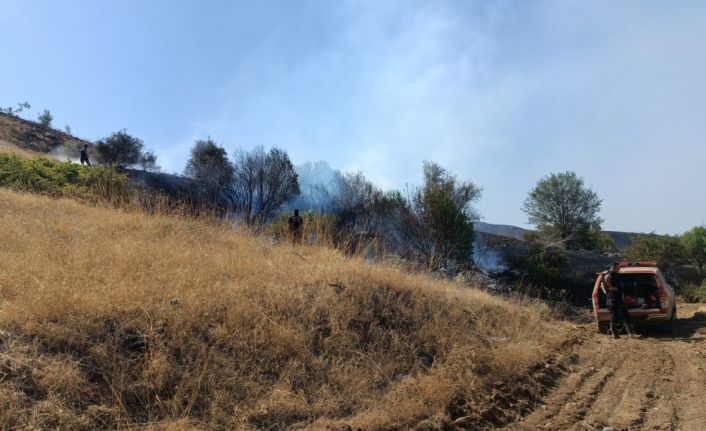 Malatya’daki orman yangını kontrol altına alındı