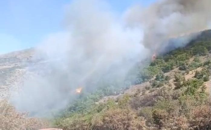 Malatya’daki orman yangını söndürüldü