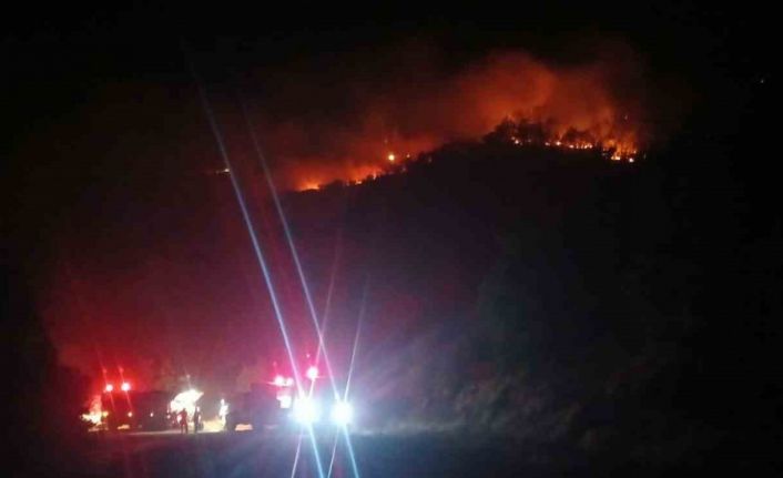 Malatya’daki orman yangını sürüyor