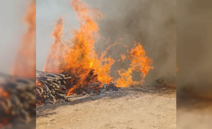 Malatya’nın Doğanyol ilçesinde orman yangını