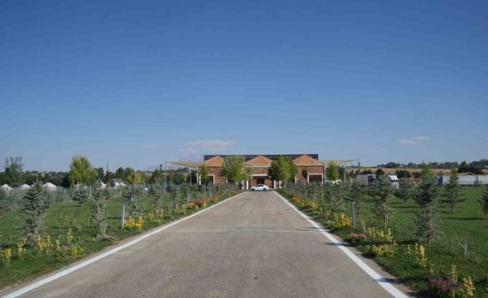 Malazgirt’te 1071 çiçek dikildi