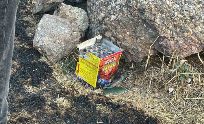 Maltepe’de ormana yakın noktada atılan havai fişek yangın çıkardı