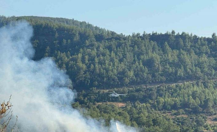 Manavgat’ta ormanlık alanda yangın