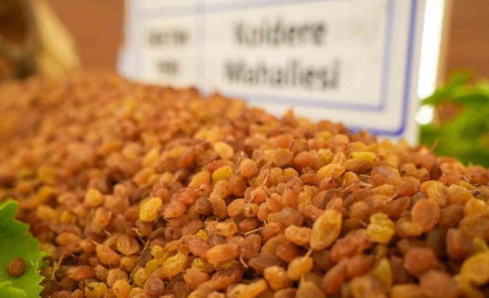 Manisa’da borsaya gelen yılın ilk kuru üzümü 3 bin 500 TL’den alındı