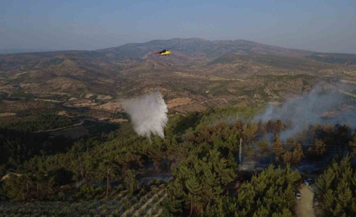 Manisa’daki yangında 5 hektarlık kızılçam ormanı zarar gördü
