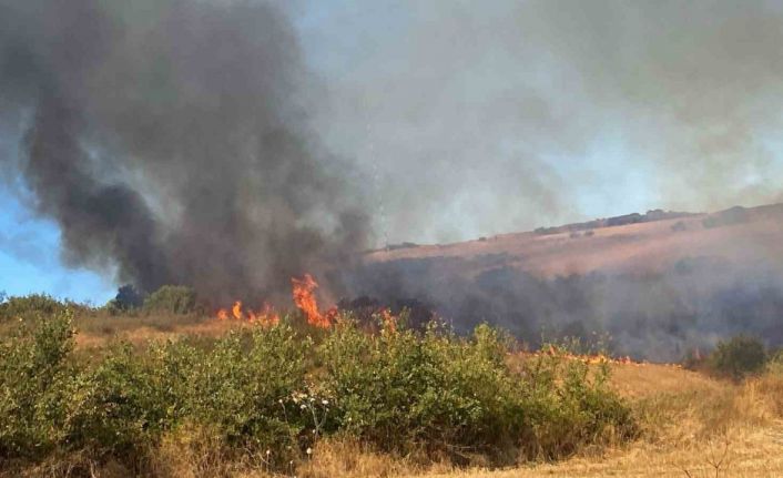 Manyas Yeniköy’de çıkan yangına ekiplerden ortak müdahale