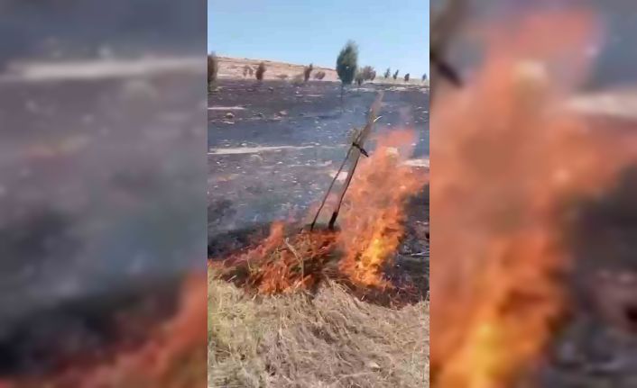 Mardin’de çıkan ot yangını söndürüldü