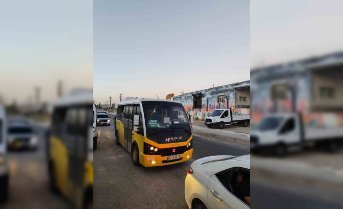 Mardin’de dolmuşun üzerinde yolculuk yapan kedi kameraya yansıdı