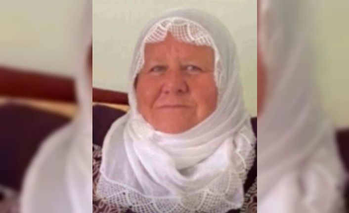 Mardin’de otomobilin çarptığı kadın hayatını kaybetti