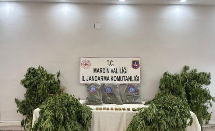Mardin’de uyuşturucu operasyonu: 1 tutuklama