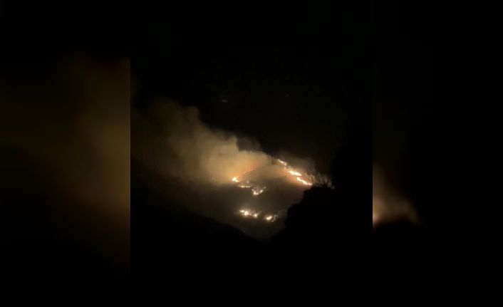 Marmara Adası’nda arazi yangını başladı