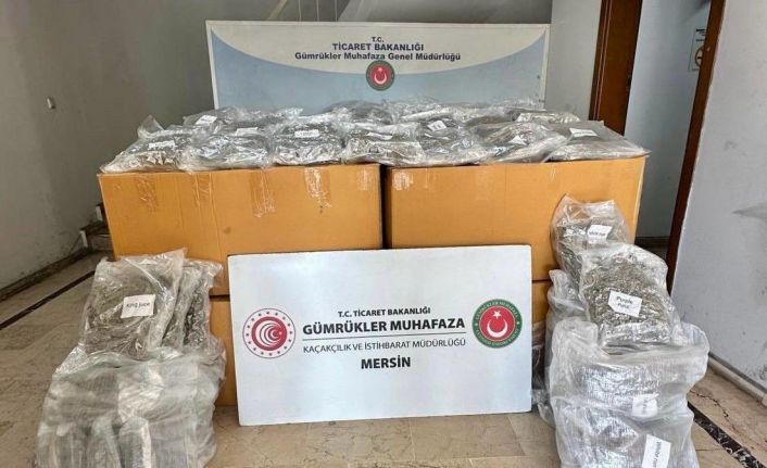 Mersin Limanı’nda 587 kilogram esrar ele geçirildi