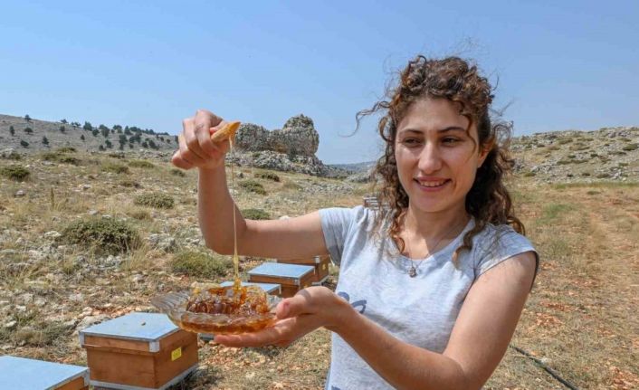 Mersin’de ‘Altın Kovan Projesi’ ile arı yetiştiriciliğine destek