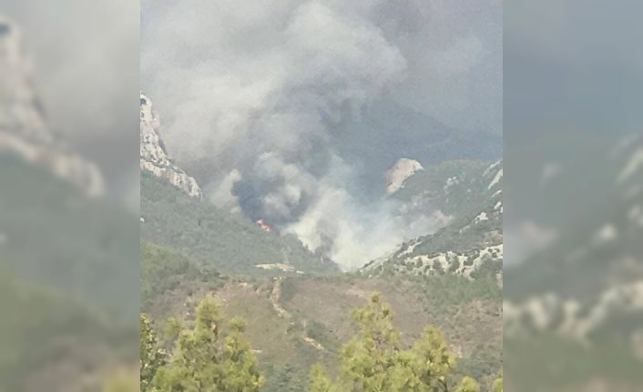 Mersin’de ikinci orman yangını
