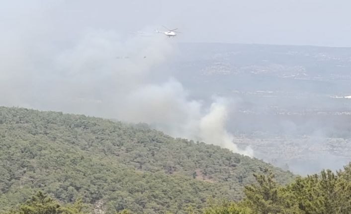 Mersin’de kaynak yaparken orman yangınına neden olan firma sahibi ile 4 kişi tutuklandı