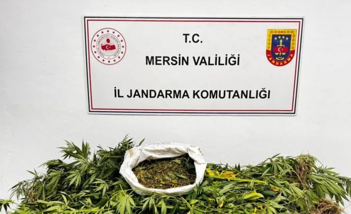Mersin’de uyuşturucu operasyonu
