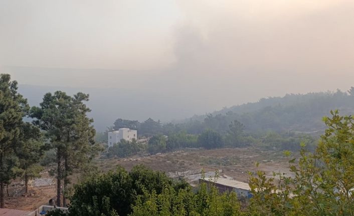 Mersin’deki orman yangını 2. gününde