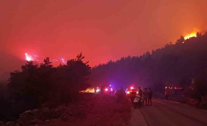 Mersin’deki orman yangınına müdahale sürüyor