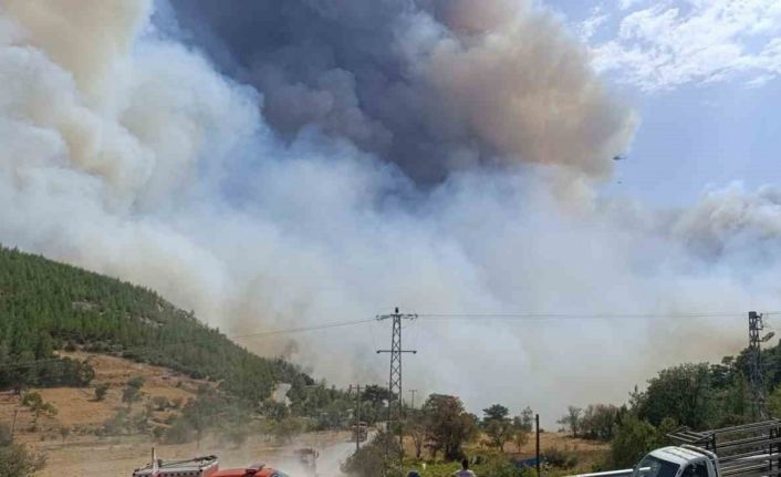 Mersin’deki orman yangınında evler tedbiren boşaltılıyor