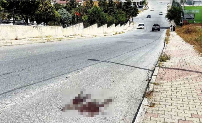 Mezarlık önünde kardeş kavgası cinayetle bitti: 1 ölü