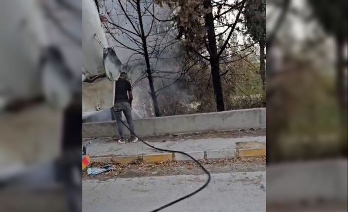 Mikser sürücüsü ağaçları yanmaktan kurtardı