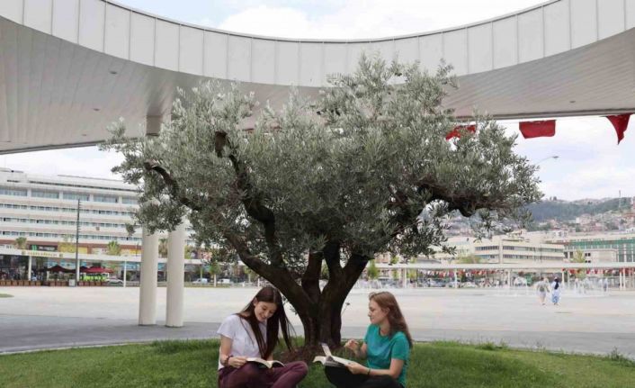 Milli İrade Meydanı’na 300’den fazla ağaç dikildi