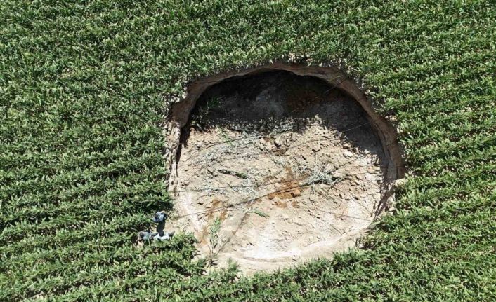 Mısır tarlasında 15 metre genişliğinde obruk oluştu