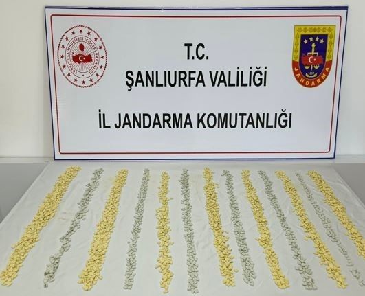 MİT tespit etti, jandarma operasyon düzenledi