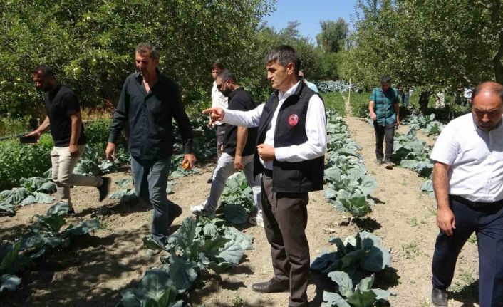 Modern basınçlı sulama sistemiyle hem işçilikten hem de verimden kazandı
