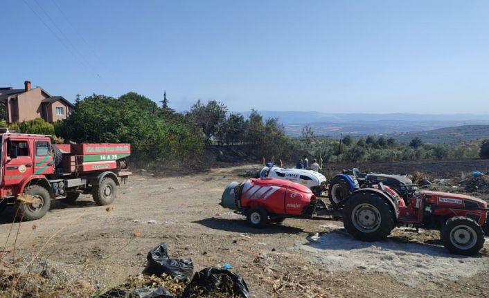 Mudanya’da çöplük yangını büyümeden söndürüldü