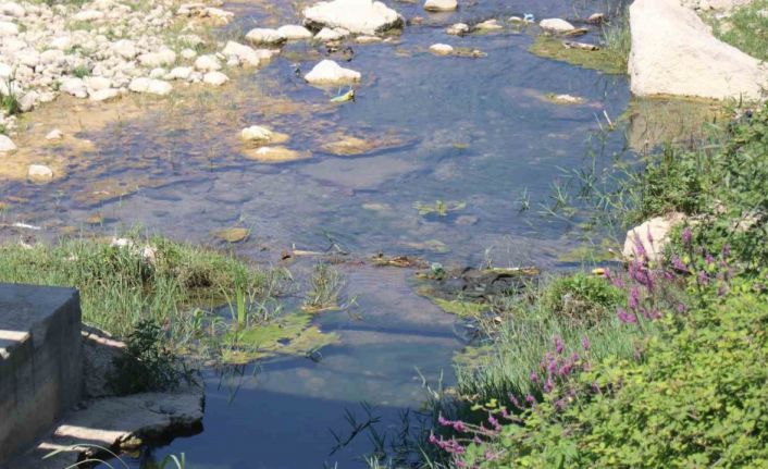 Mudurnu Deresi’ni kirleten firmanın faaliyeti durduruldu