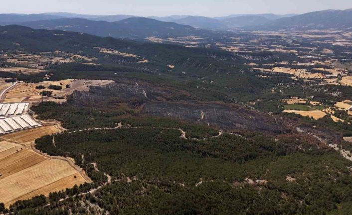 Mudurnu’daki orman yangınında 66 hektar alan kül oldu