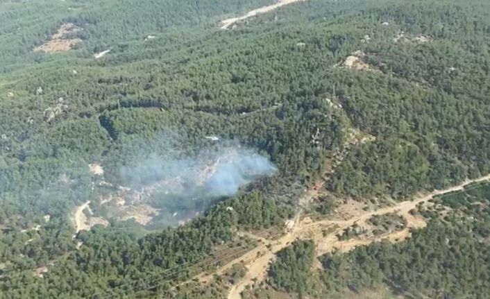 Muğla Milas’ta ormanlık alanda yangın
