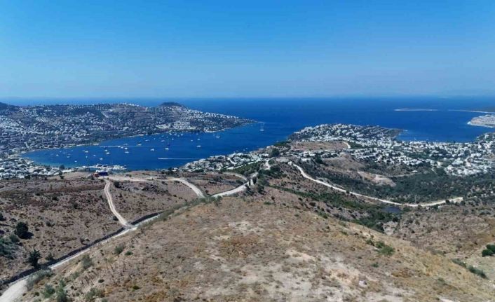 Muğla’da 163 futbol sahası vahşi depolama alanı yeşile döndü