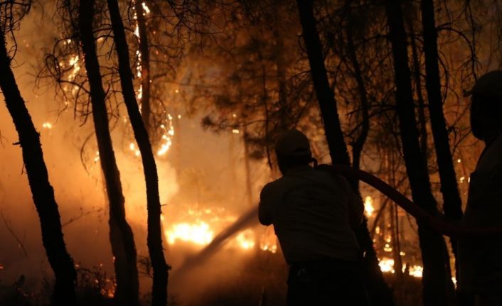 Muğla’da orman yangını riskine karşı uyarı