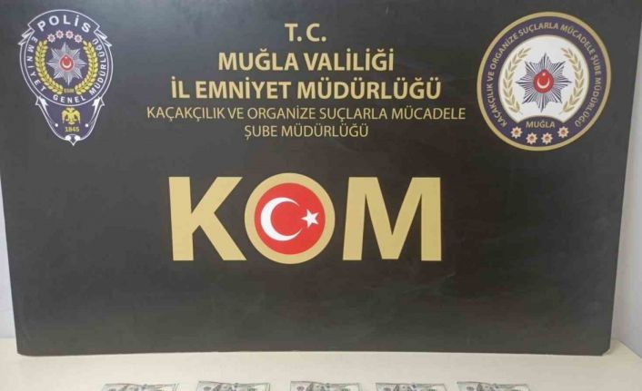 Muğla’da sahte dolar operasyonu