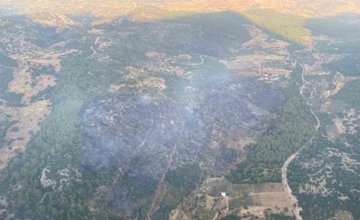 Muğla’daki orman yangını kontrol altına alındı
