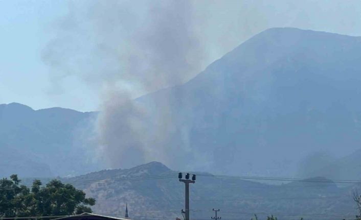 Muğla’daki yangını söndürme çalışmaları aralıksız sürüyor