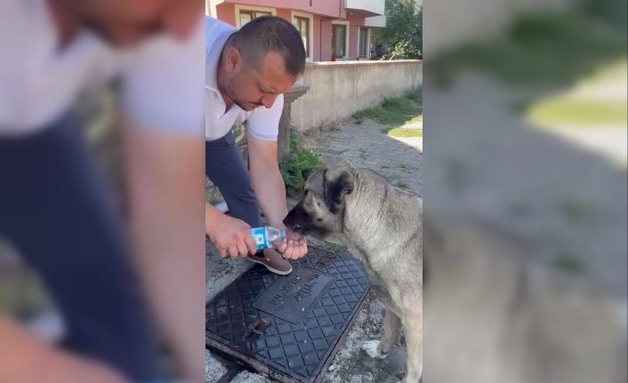 Muhtardan insanlık dersi