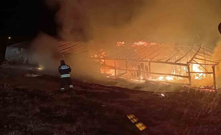 Muş’ta ahır yangını: Hayvanlar son anda kurtarıldı