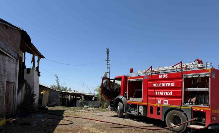 Muş’ta ev ve samanlık yangını