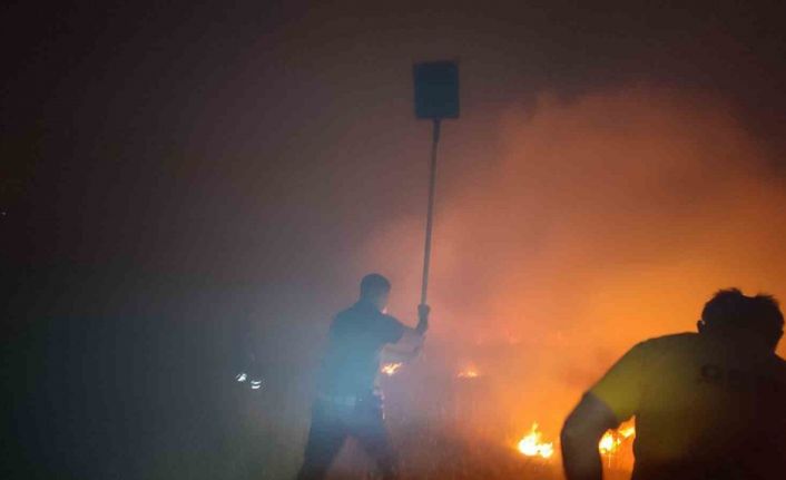 Niğde’deki mera yangını kontrol altına alındı